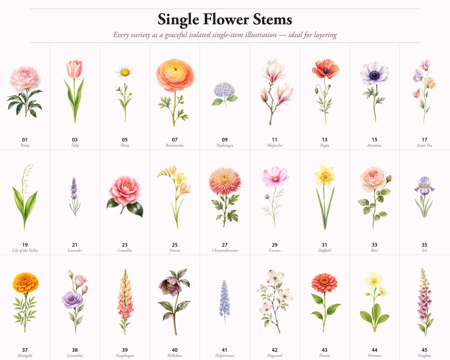All Flowers preview