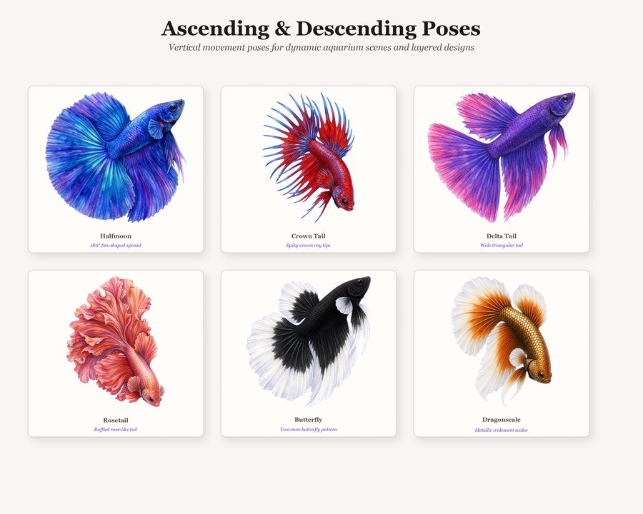 Betta preview