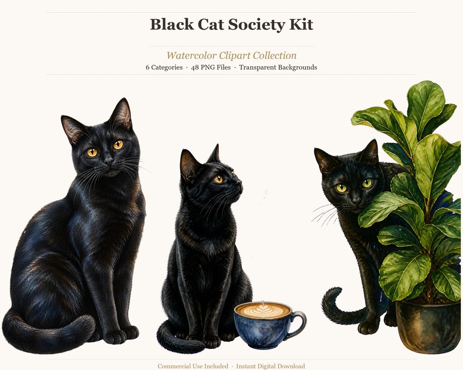 Black Cat Society
