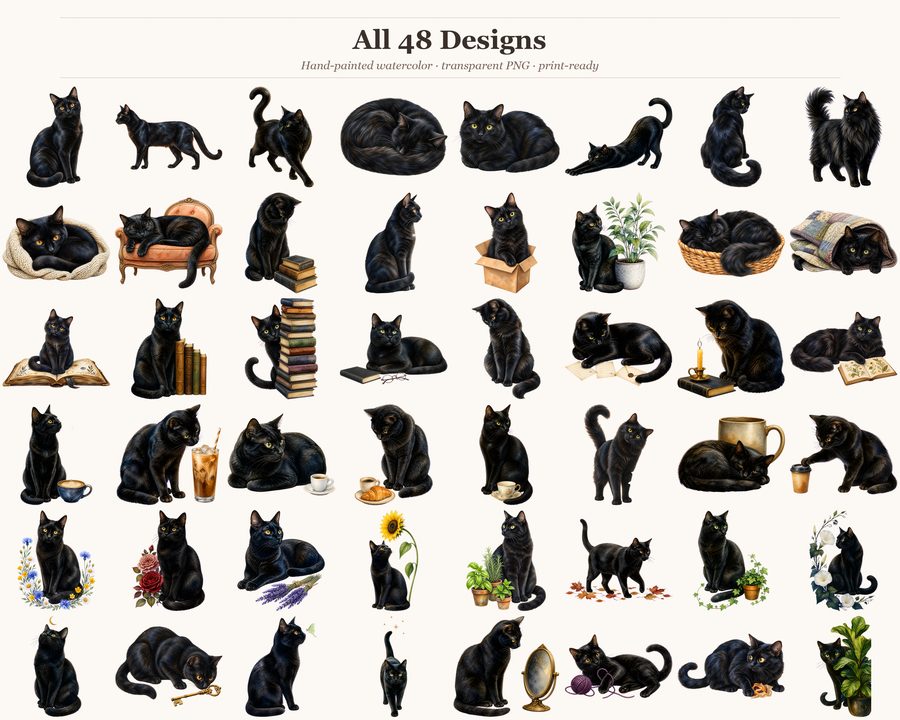Black Cat Society preview