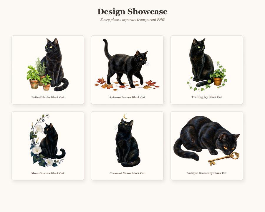 Black Cat Society preview