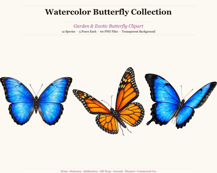 Butterflies