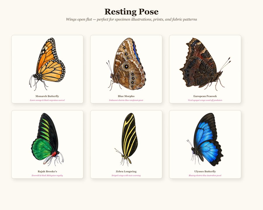 Butterflies preview