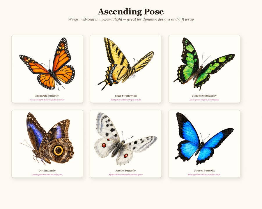 Butterflies preview