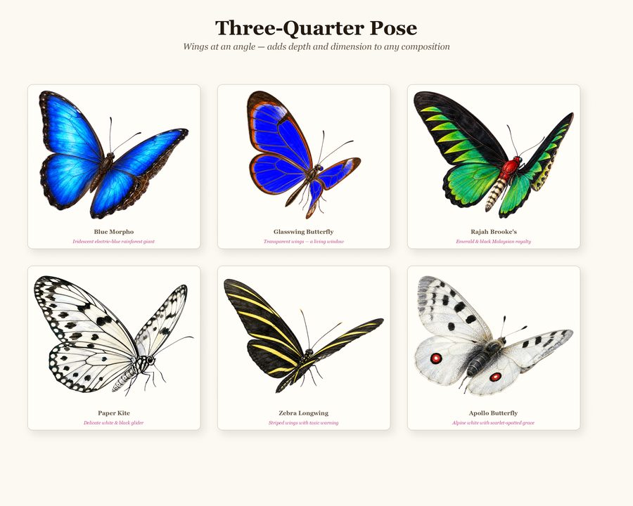 Butterflies preview