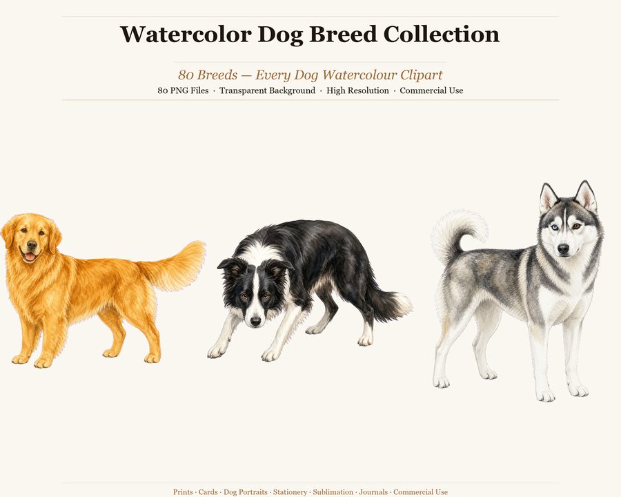 Dogs