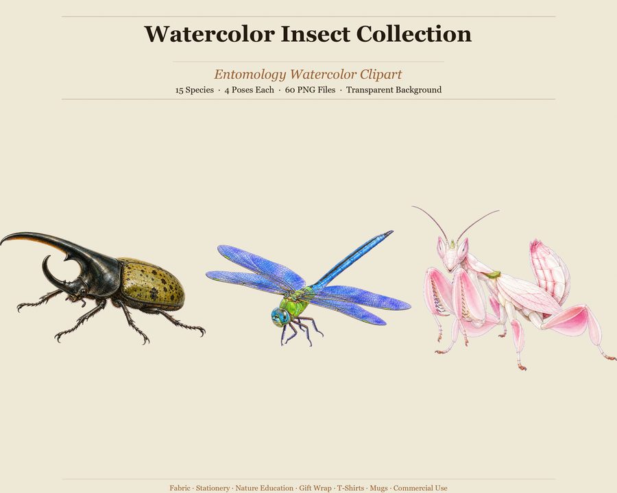 Insects