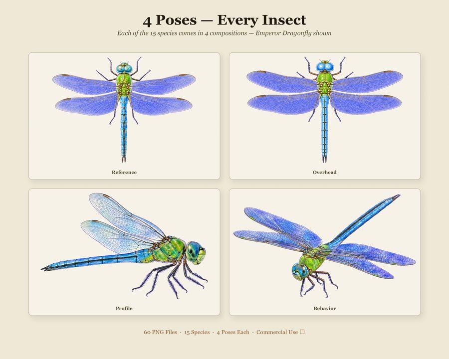 Insects preview