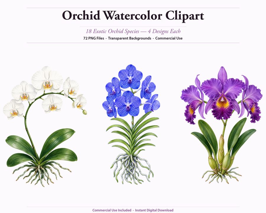 Orchids