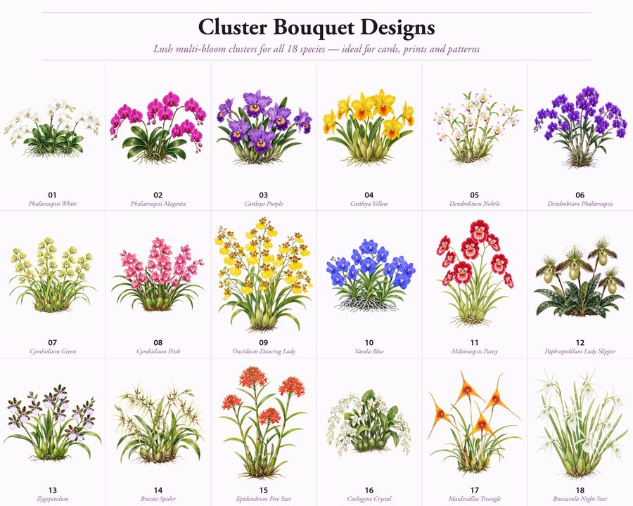 Orchids preview