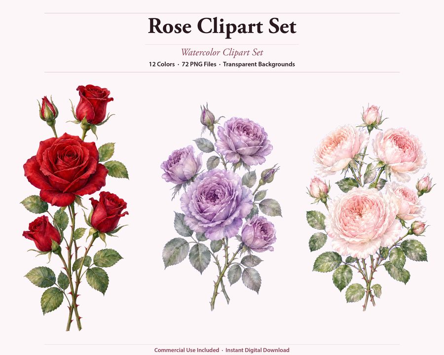 Roses