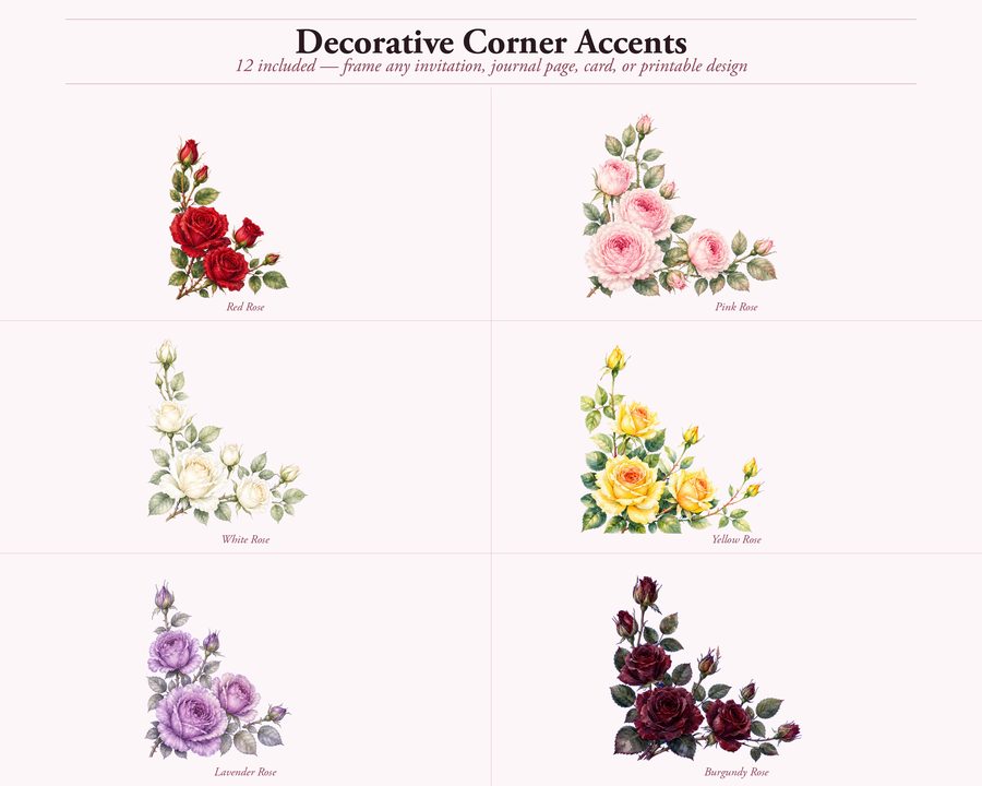 Roses preview