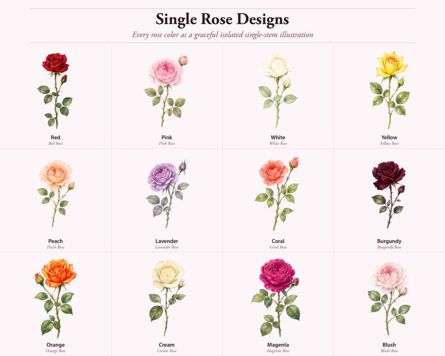 Roses preview