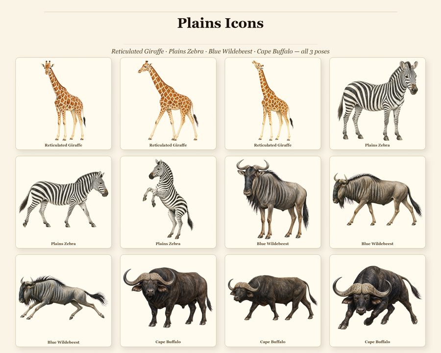 Safari Animals preview