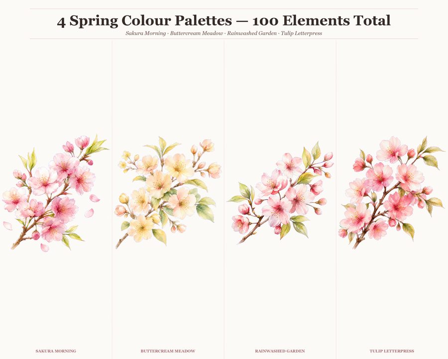 Spring Builder preview