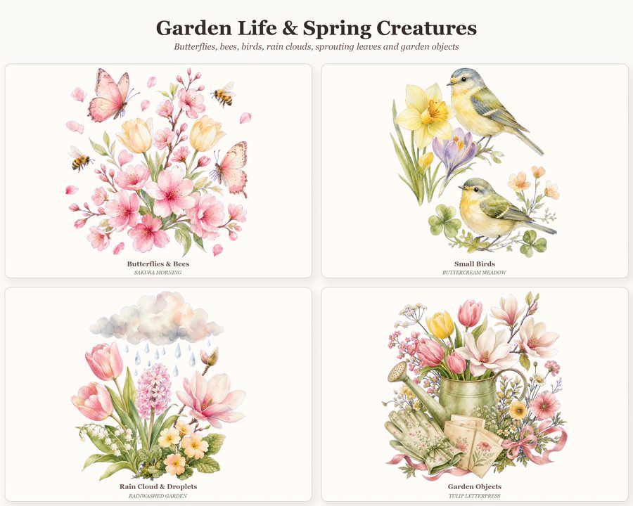 Spring Builder preview