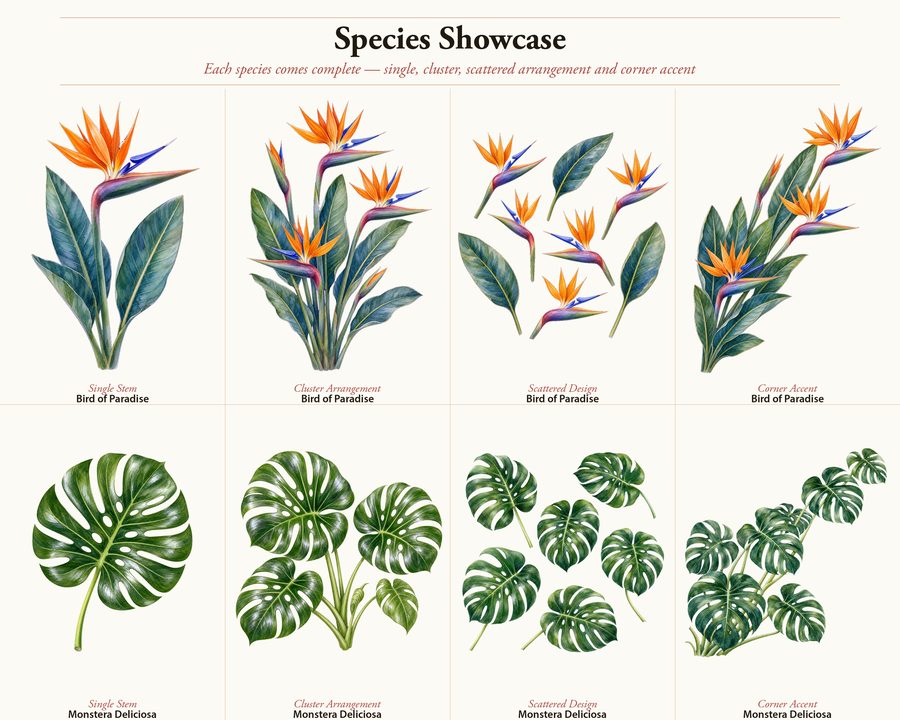 Tropical preview